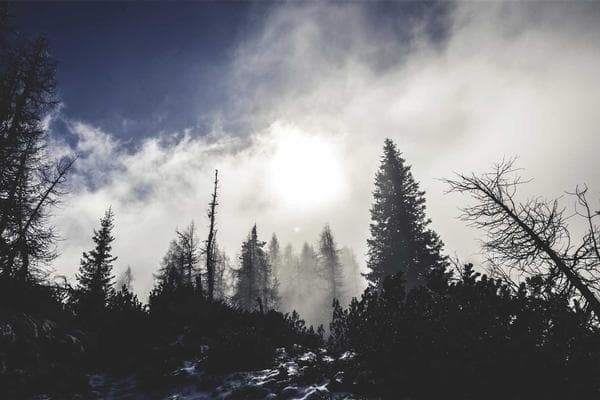 Roob - Hickle Cloud — screenshot 3