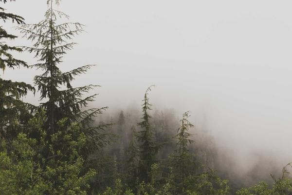 Gerhold, Kunze and West Cloud — screenshot 1